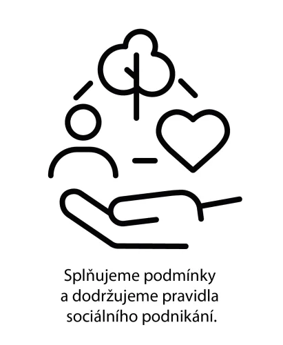 Sociálný podnik